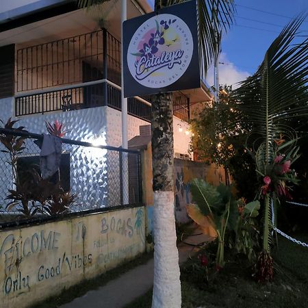 Cataleya Hostel Бокас Екстер'єр фото